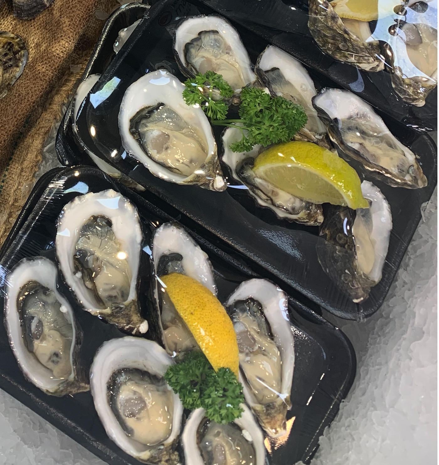 Oysters Trayed Fishermen's Coop