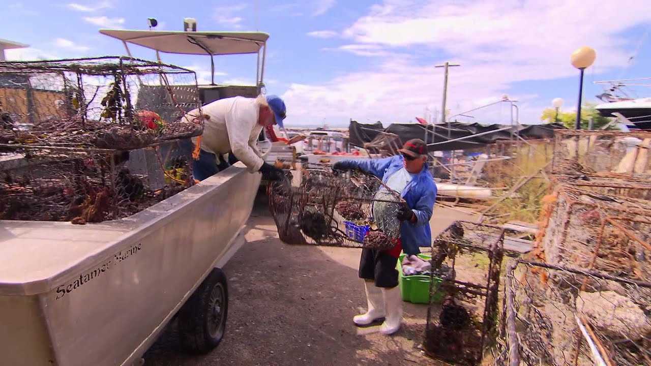 Love Seafood ...Love Port Stephens with Bob Monin from Nelson Bay Fish Market.