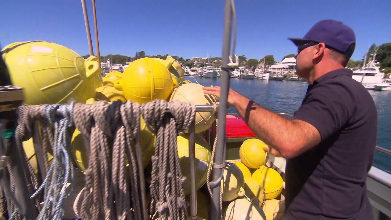 Love Seafood ...Love Port Stephens with John Skoljarev, Tuna Fisherman.