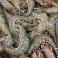 Green King Prawns Newcastle Co Op